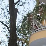 Tako - Hotel *