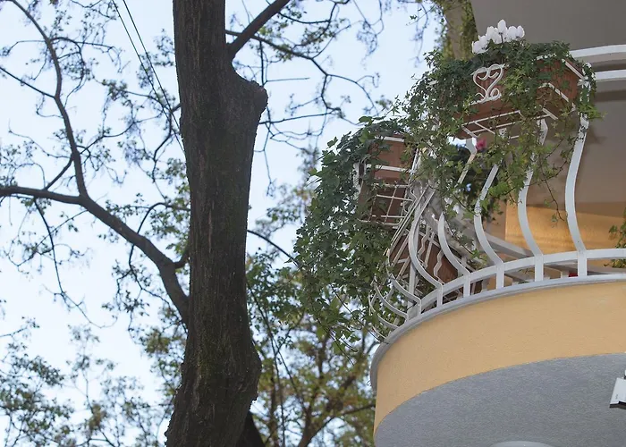 Tako - Ξενοδοχείο *